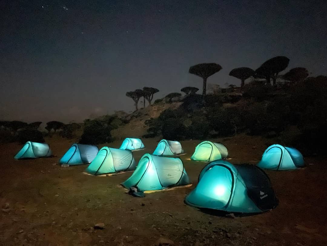 <p><span style="background-color: rgb(254, 254, 224); color: rgb(0, 0, 0);">Viaggio a Socotra</span></p>